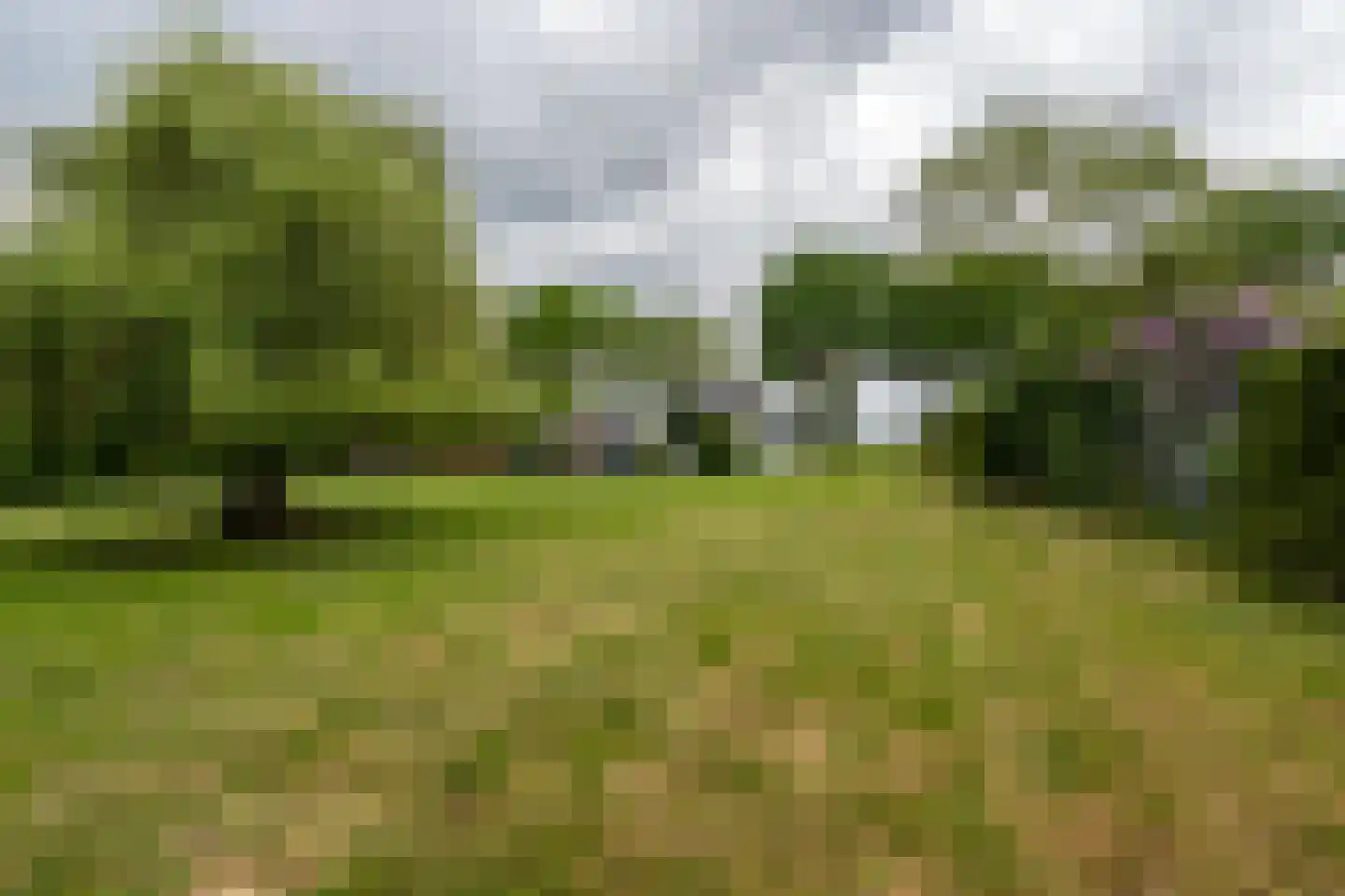 Paterslaan 63 Gasselternijveenschemond thumbnail 39