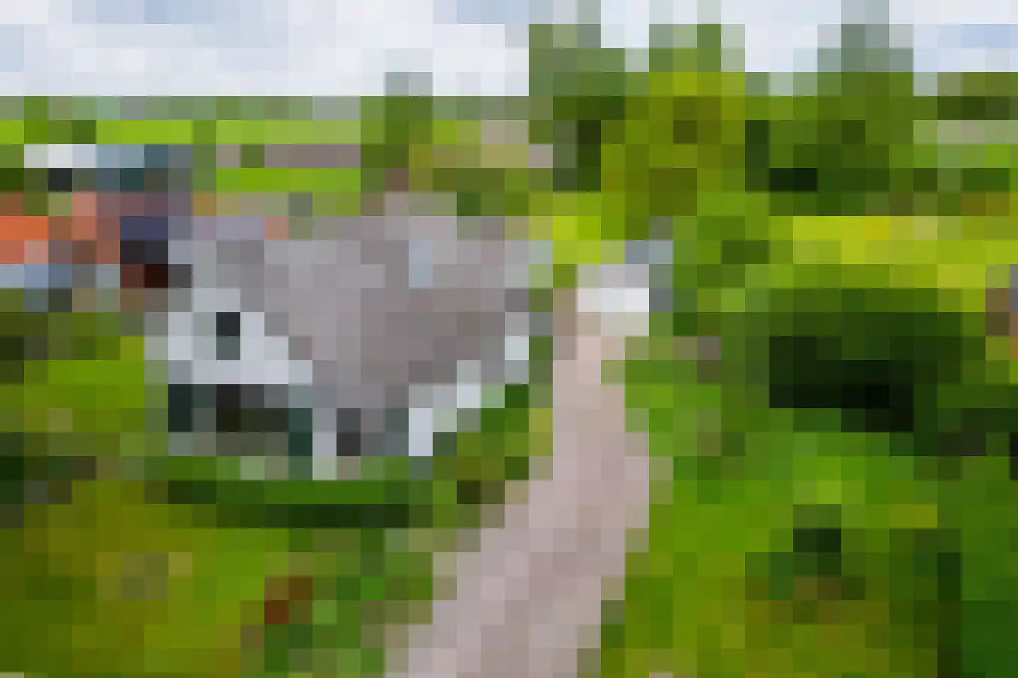 Paterslaan 63 Gasselternijveenschemond thumbnail 46
