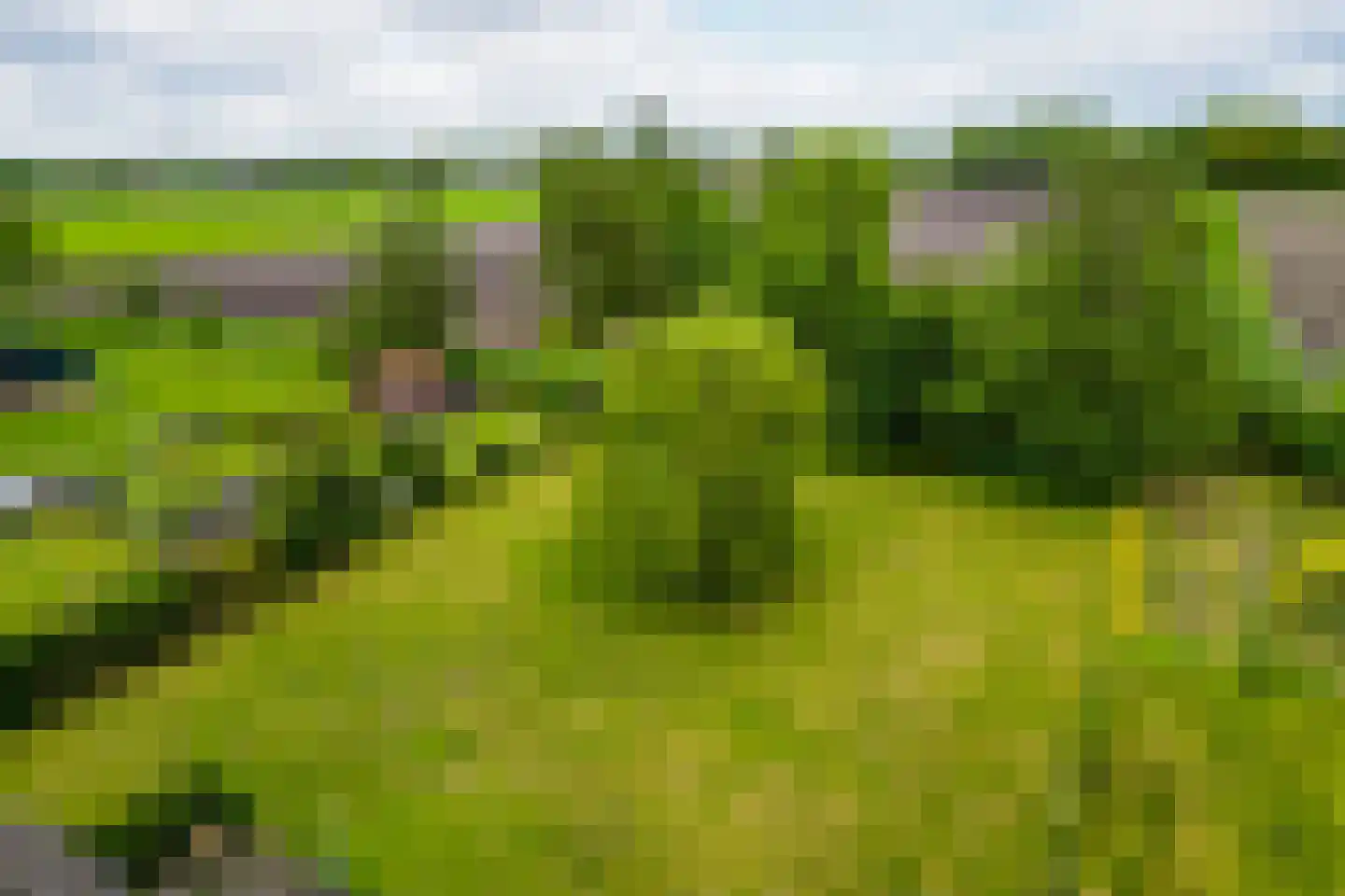 Paterslaan 63 Gasselternijveenschemond thumbnail 48