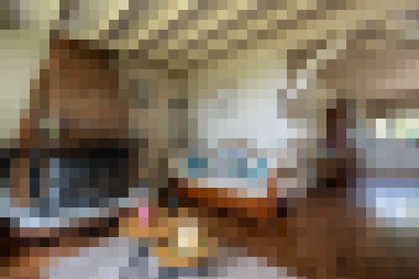 Paterslaan 63 Gasselternijveenschemond thumbnail 5