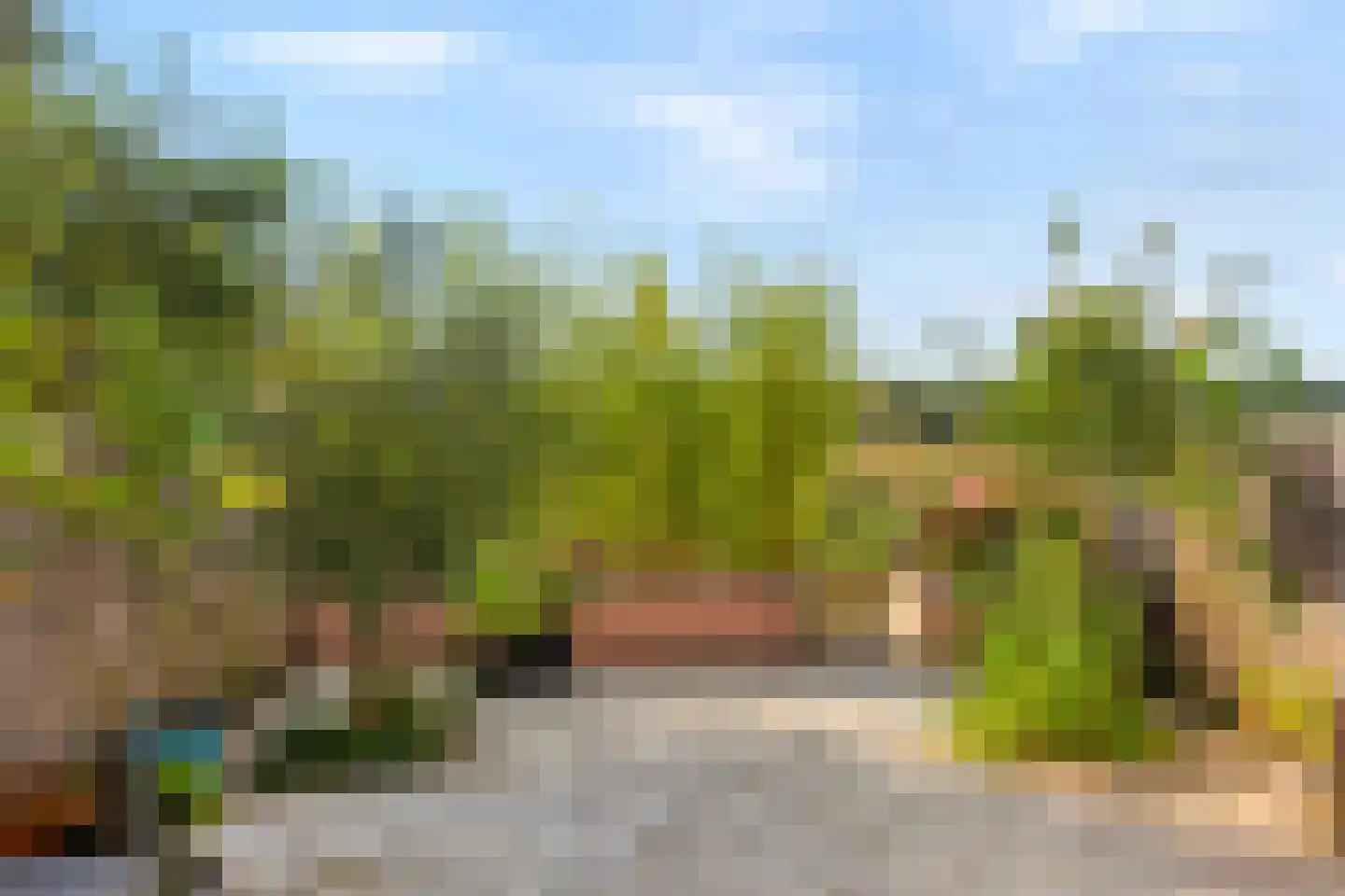 Paterspoel 64 Landsmeer thumbnail 43