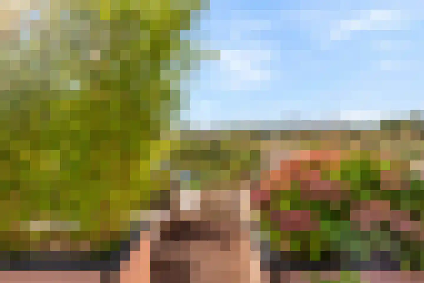 Paterspoel 64 Landsmeer thumbnail 47