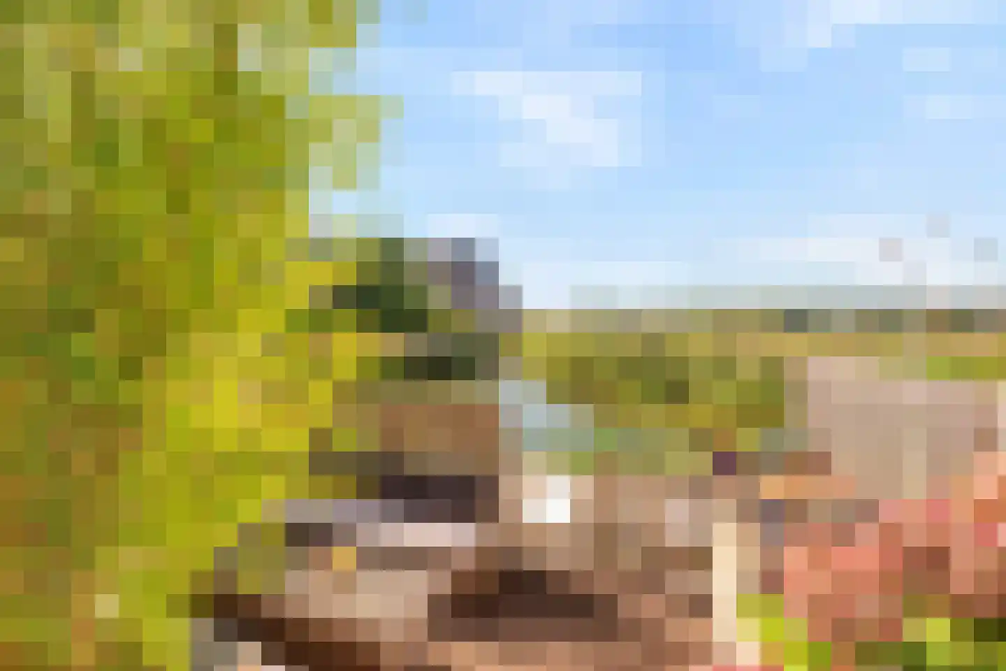 Paterspoel 64 Landsmeer thumbnail 48