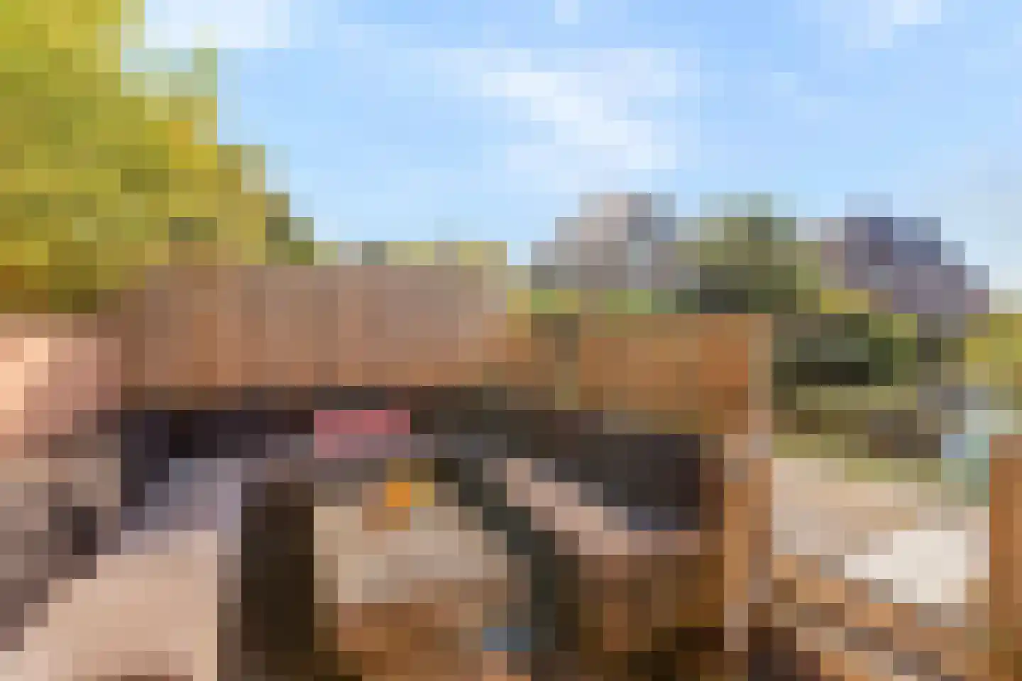 Paterspoel 64 Landsmeer thumbnail 49