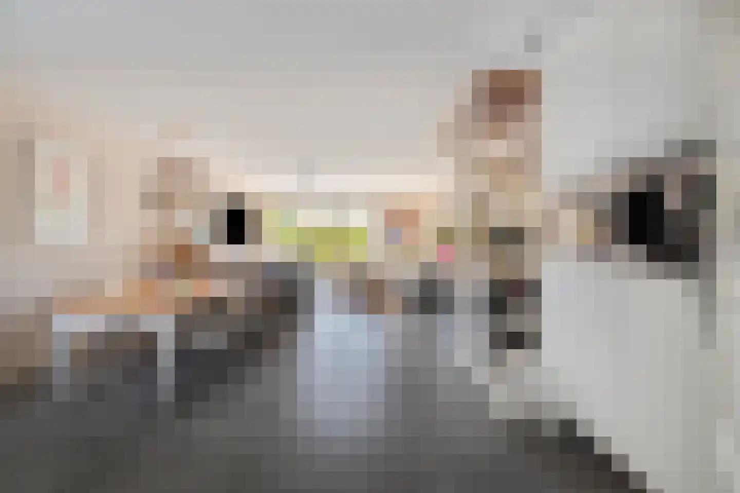 Paterspoel 64 Landsmeer thumbnail 5
