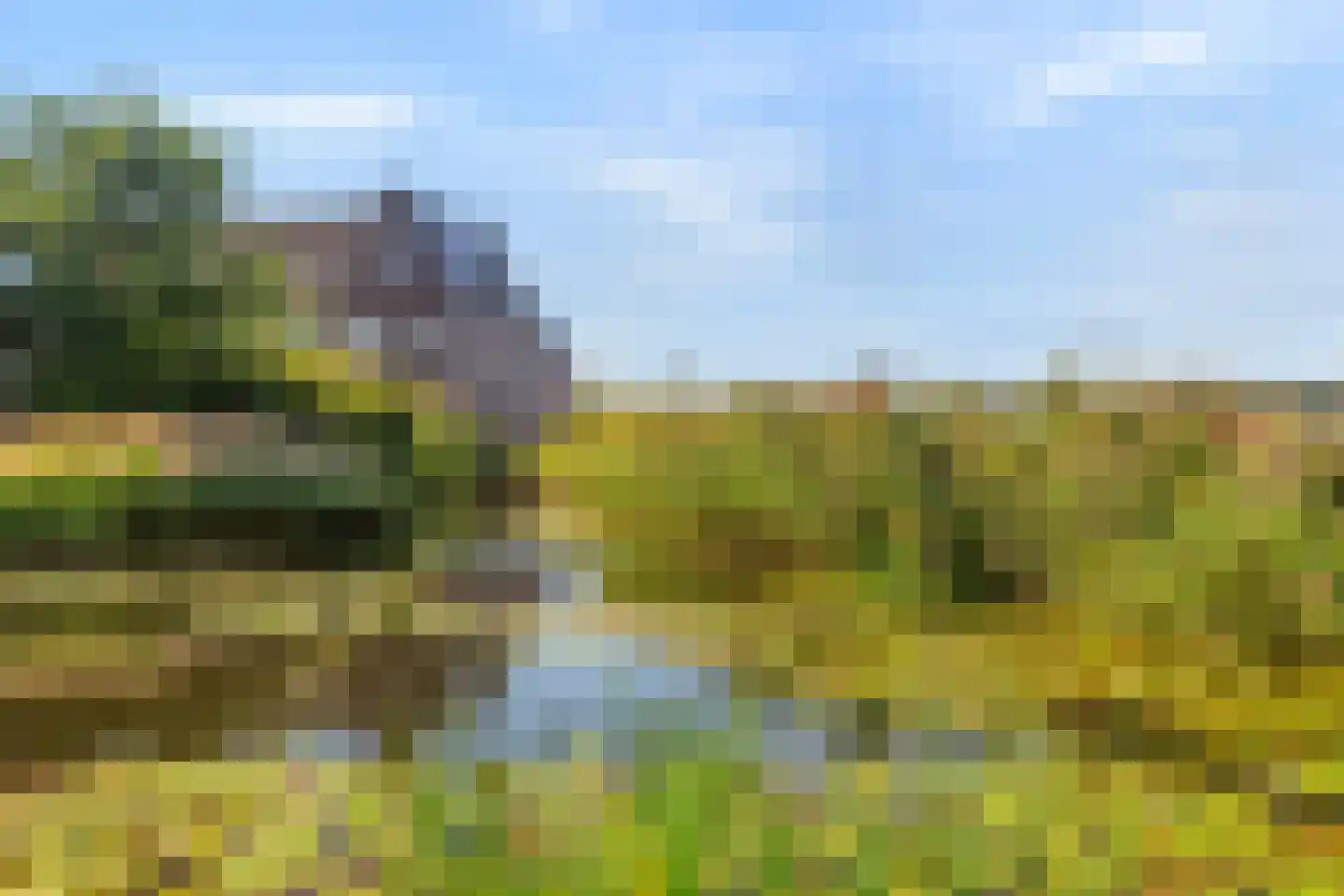 Paterspoel 64 Landsmeer thumbnail 51