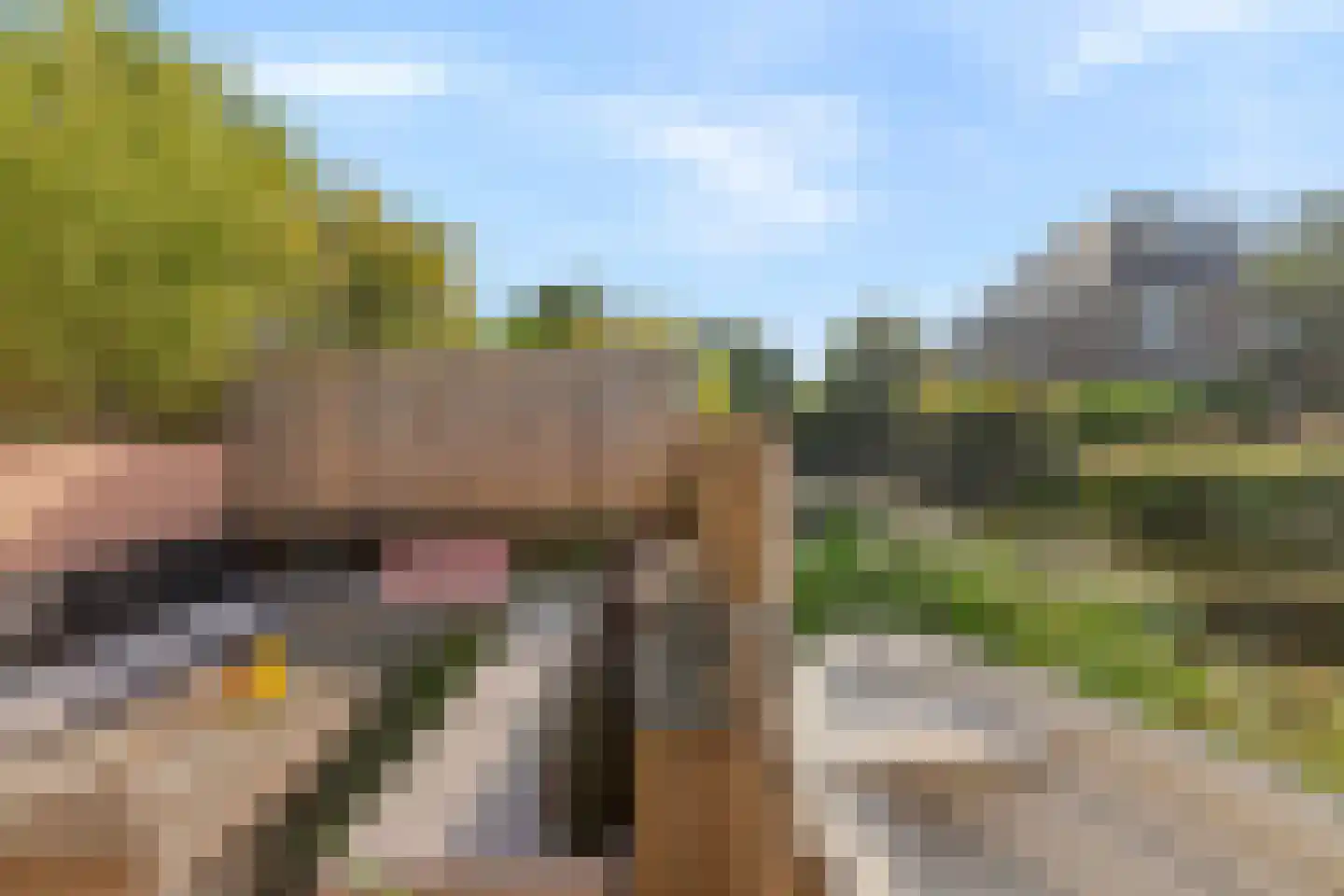 Paterspoel 64 Landsmeer thumbnail 53