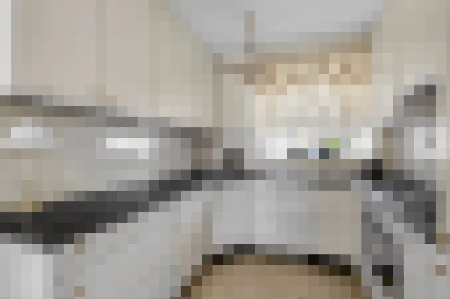 Paterspoel 68 Landsmeer thumbnail 10