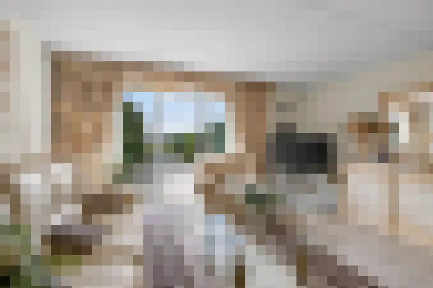 Paterspoel 68 Landsmeer thumbnail 4