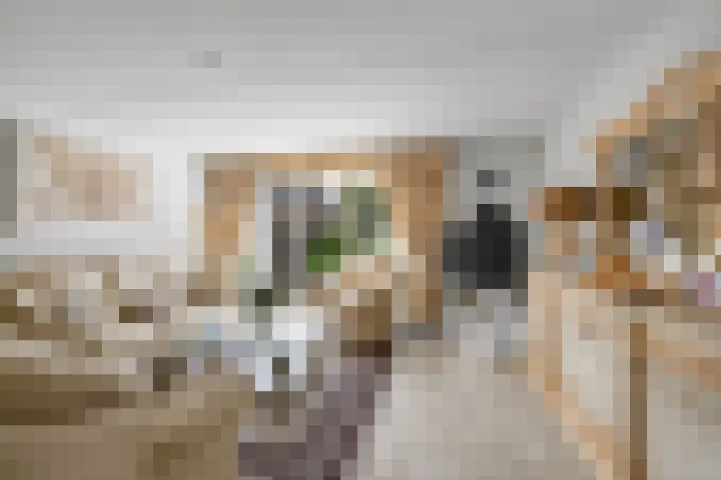 Paterspoel 68 Landsmeer thumbnail 6