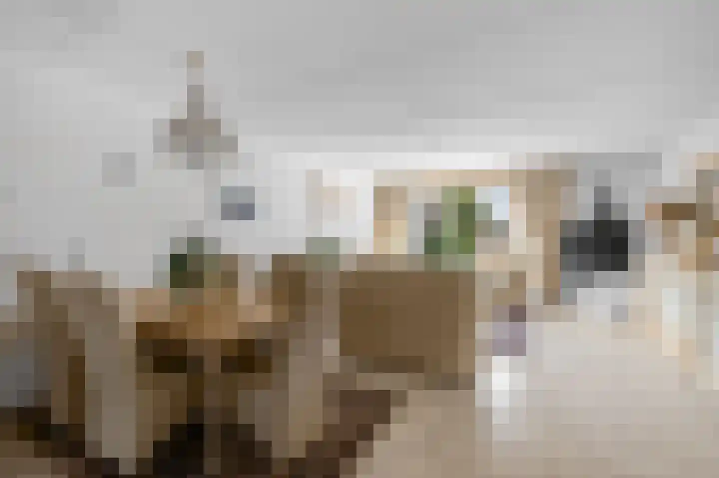 Paterspoel 68 Landsmeer thumbnail 7