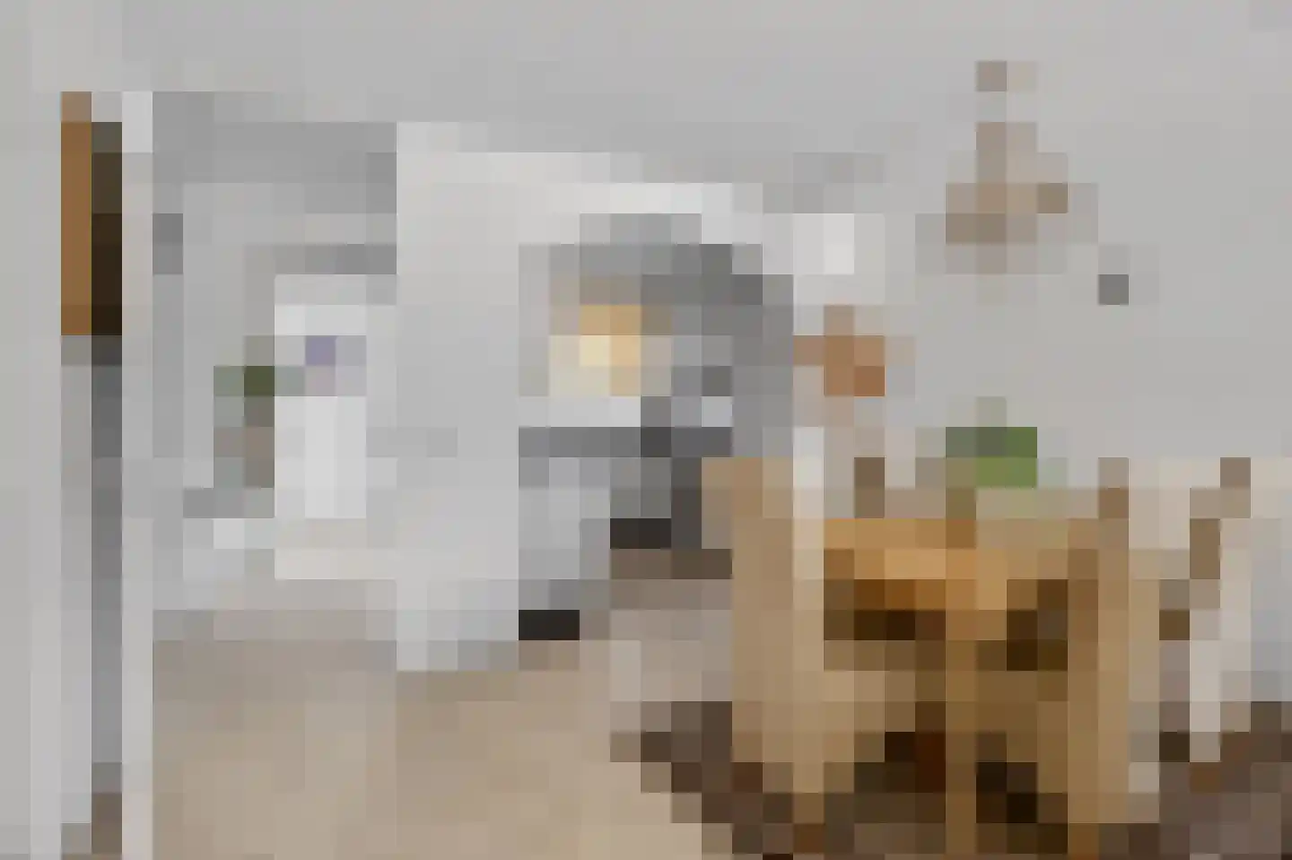 Paterspoel 68 Landsmeer thumbnail 8