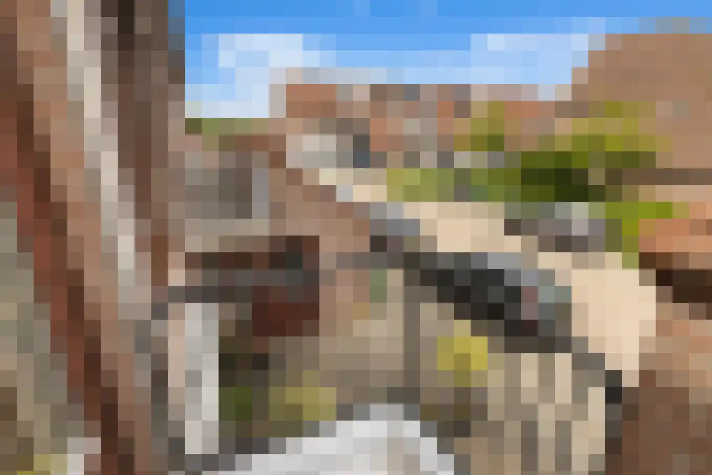 Paterspoel 78 Landsmeer thumbnail 34