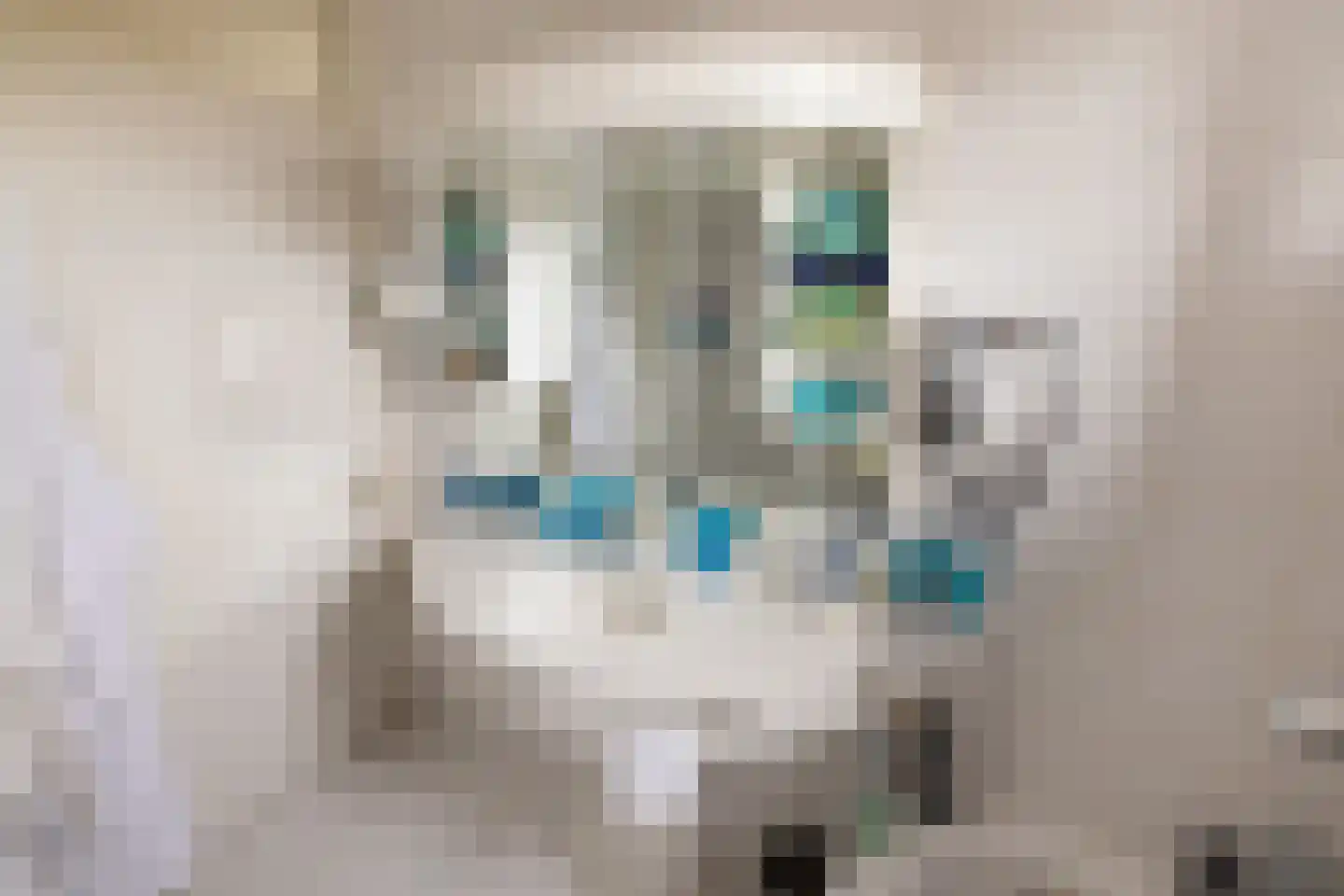 Paterspoel 78 Landsmeer thumbnail 37