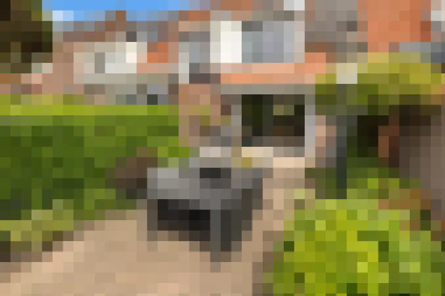Paterspoel 78 Landsmeer thumbnail 50