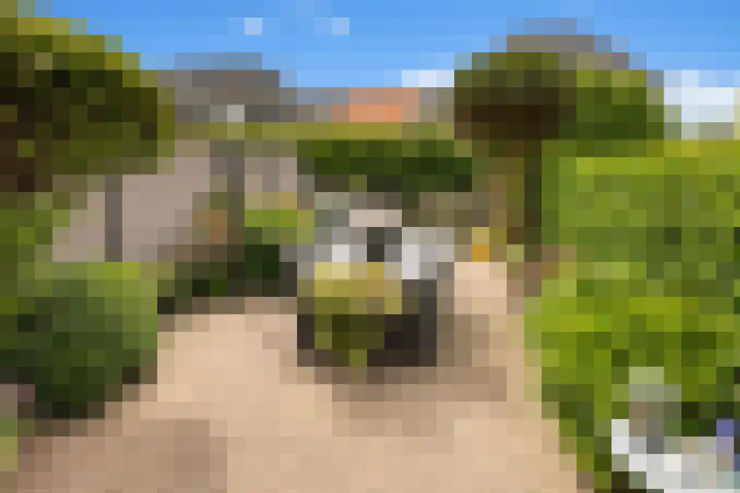 Paterspoel 78 Landsmeer thumbnail 53
