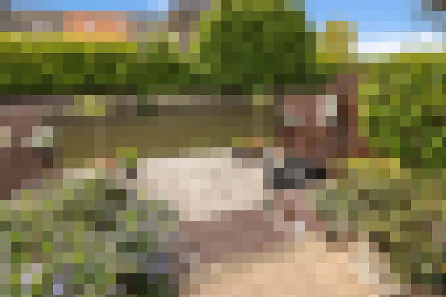 Paterspoel 78 Landsmeer thumbnail 56