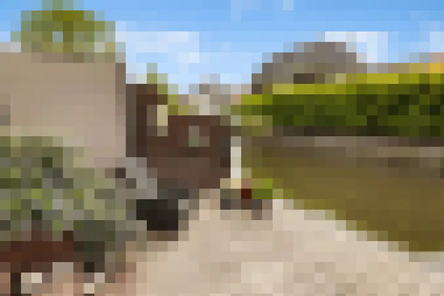 Paterspoel 78 Landsmeer thumbnail 58