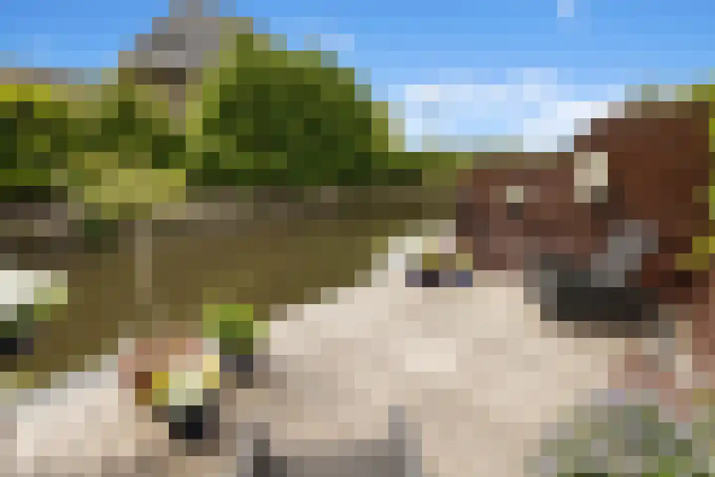 Paterspoel 78 Landsmeer thumbnail 59