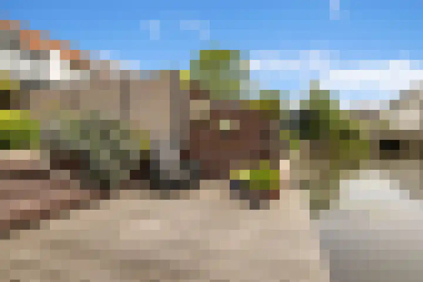 Paterspoel 78 Landsmeer thumbnail 60