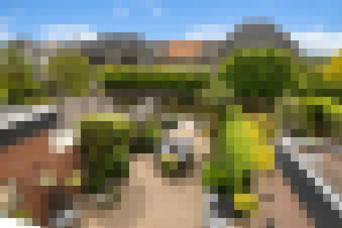 Paterspoel 78 Landsmeer thumbnail 62