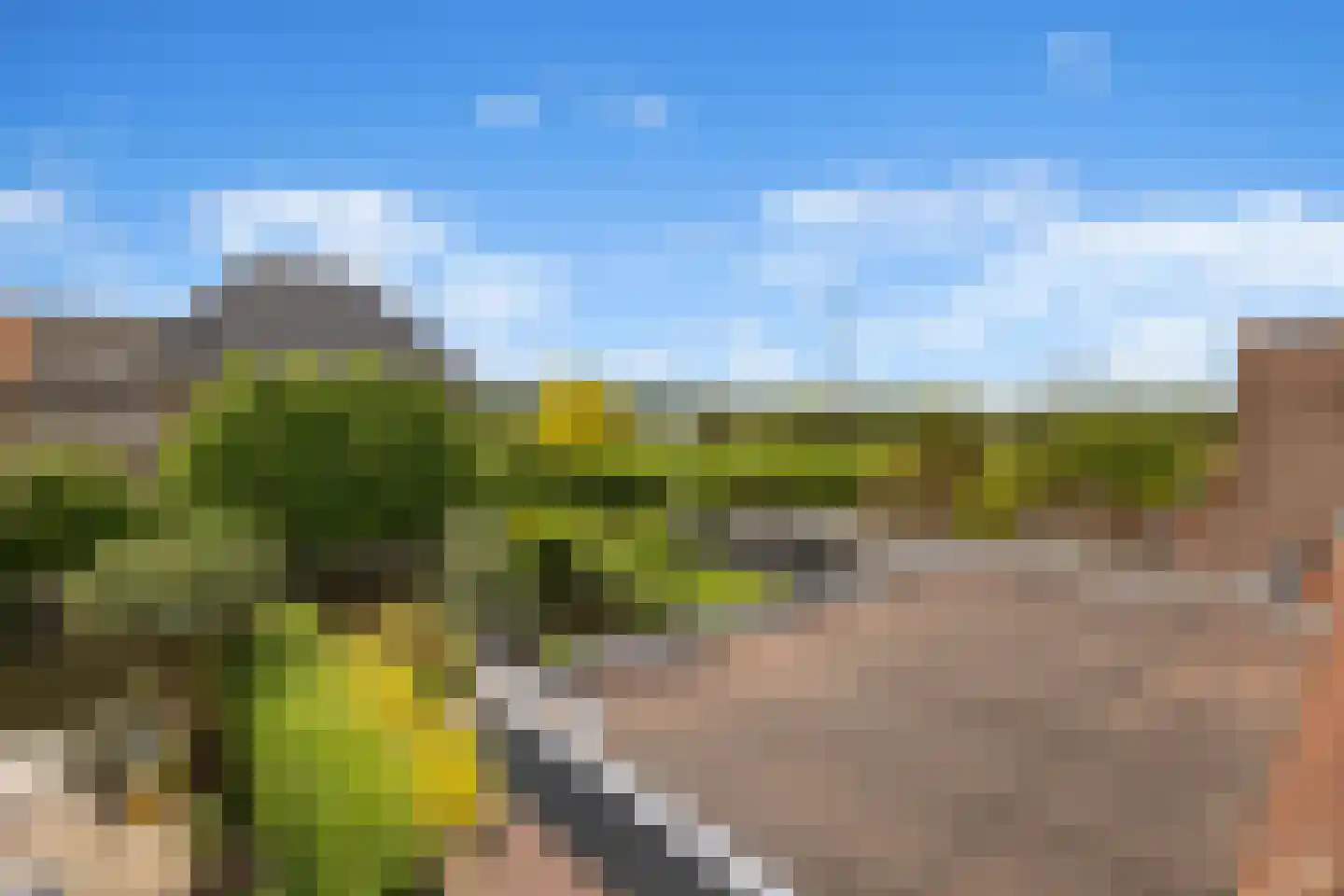 Paterspoel 78 Landsmeer thumbnail 65