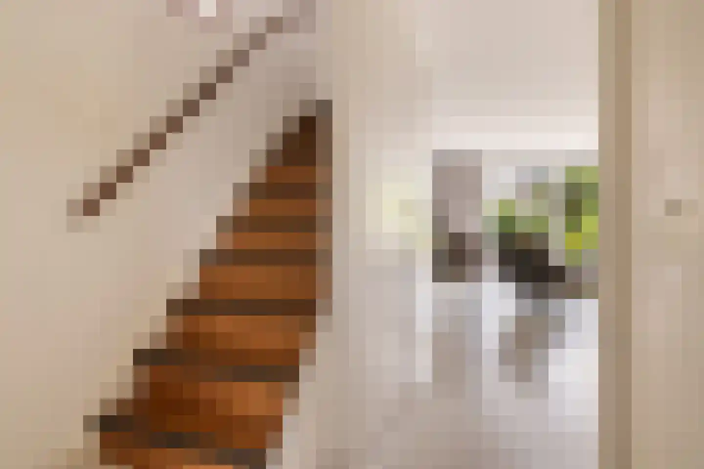 Paterspoel 78 Landsmeer thumbnail 8