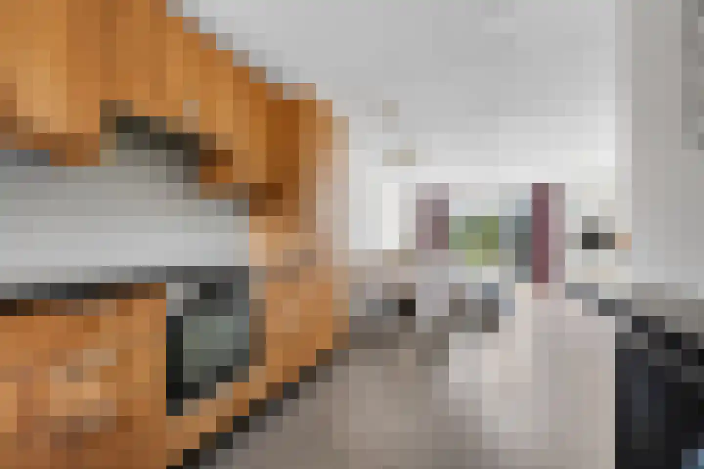 Paterspoel 88 Landsmeer thumbnail 21