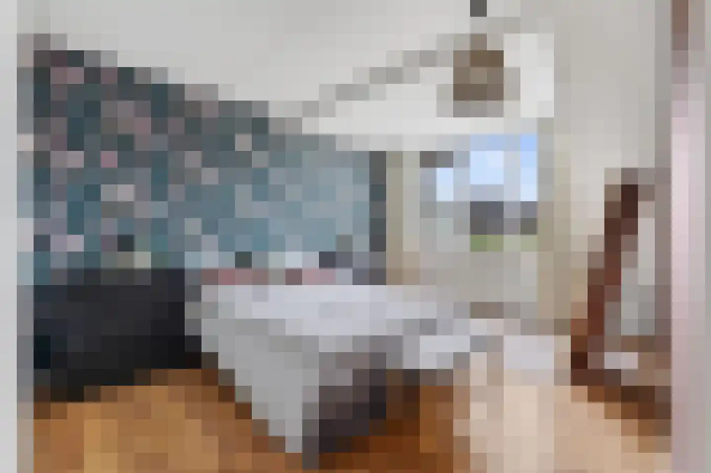 Paterspoel 88 Landsmeer thumbnail 24