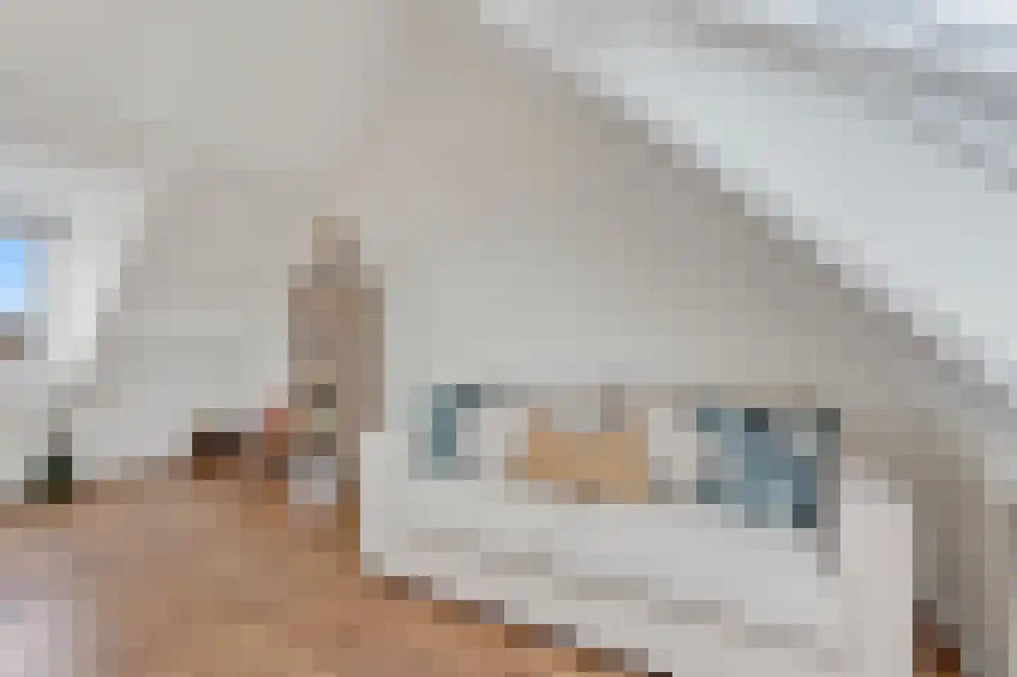 Paterspoel 88 Landsmeer thumbnail 27