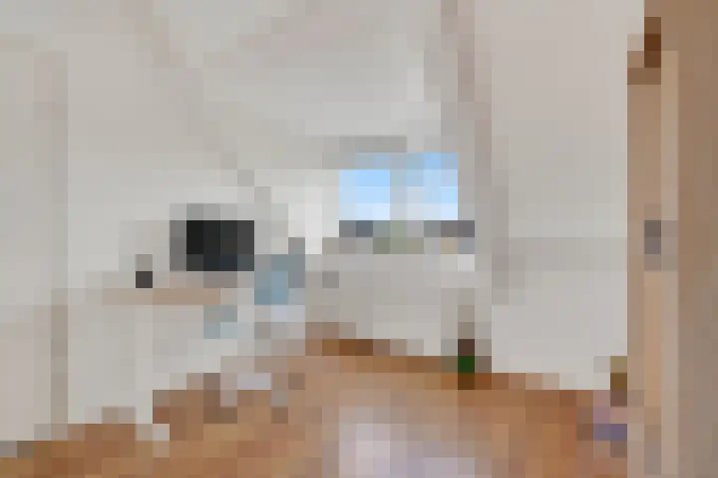 Paterspoel 88 Landsmeer thumbnail 29