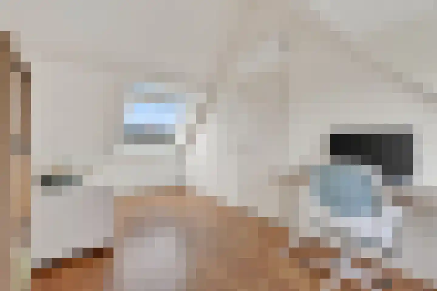 Paterspoel 88 Landsmeer thumbnail 30