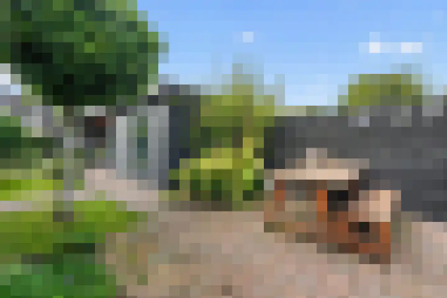 Paterspoel 88 Landsmeer thumbnail 34