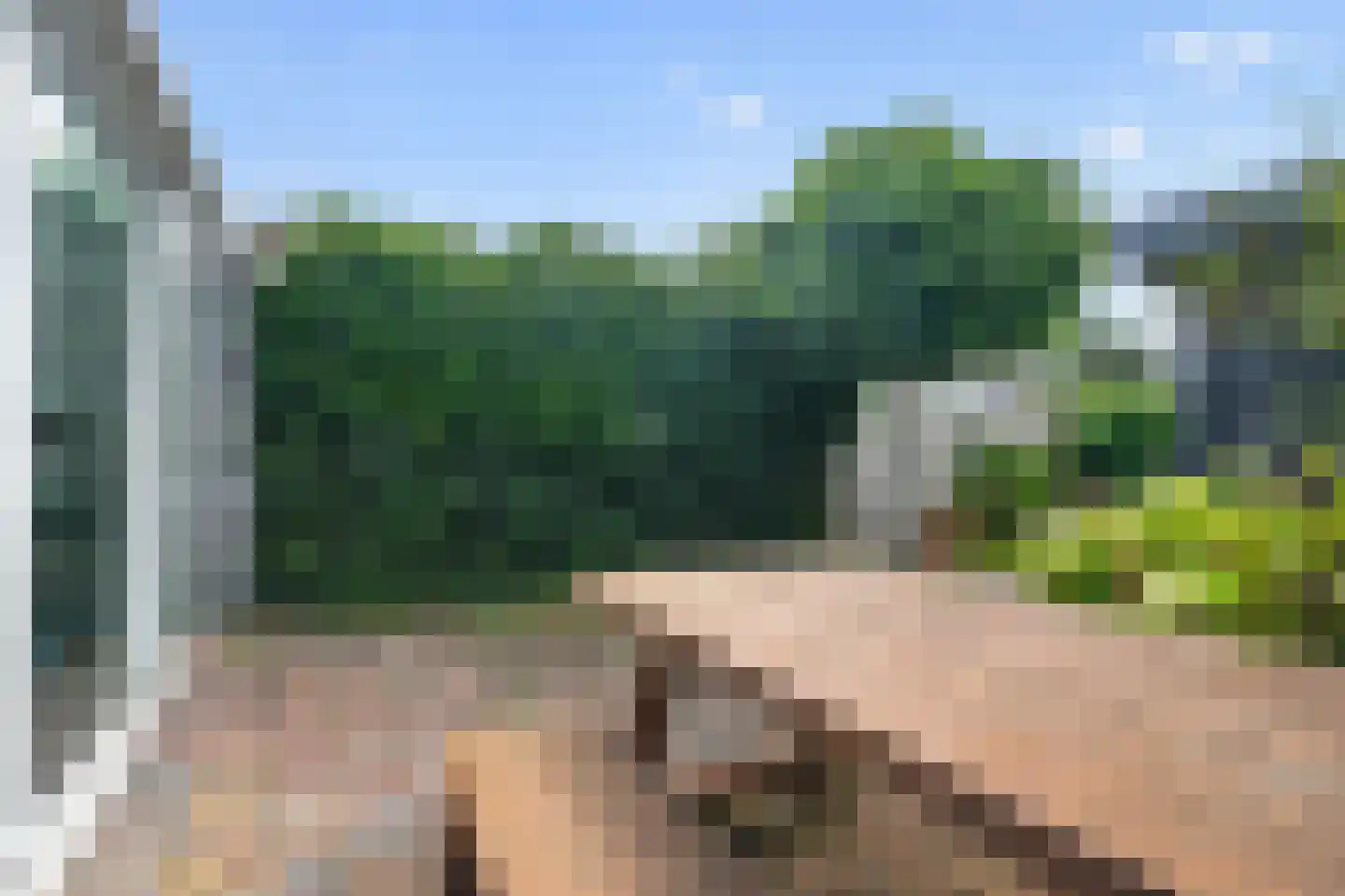 Paterspoel 88 Landsmeer thumbnail 35