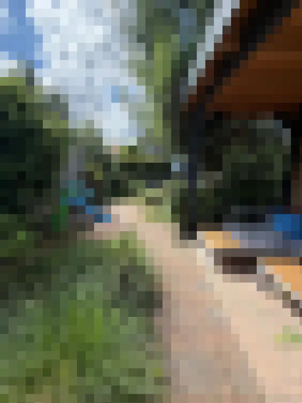 Paterspoel 88 Landsmeer thumbnail 4