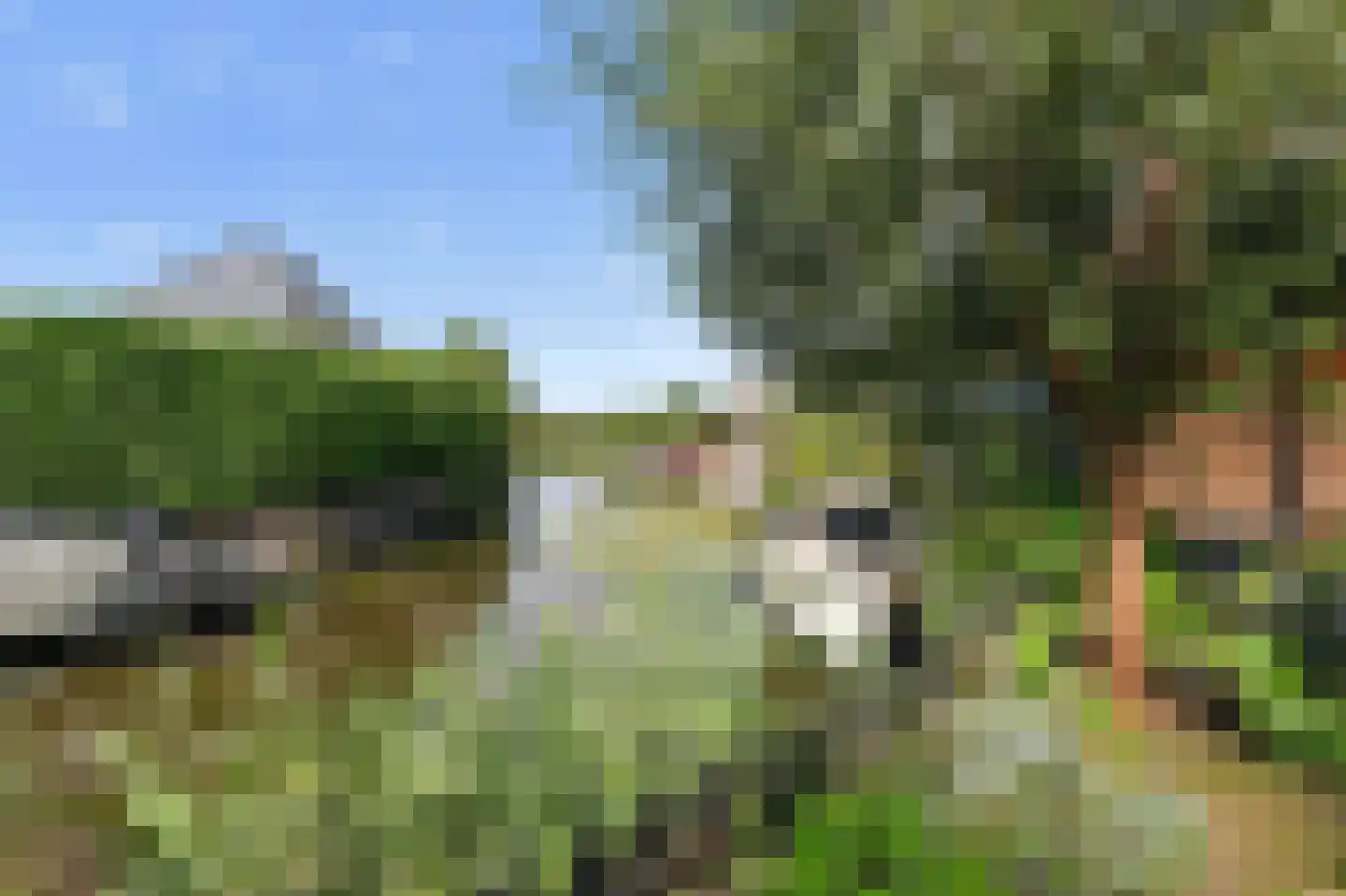 Paterspoel 88 Landsmeer thumbnail 40