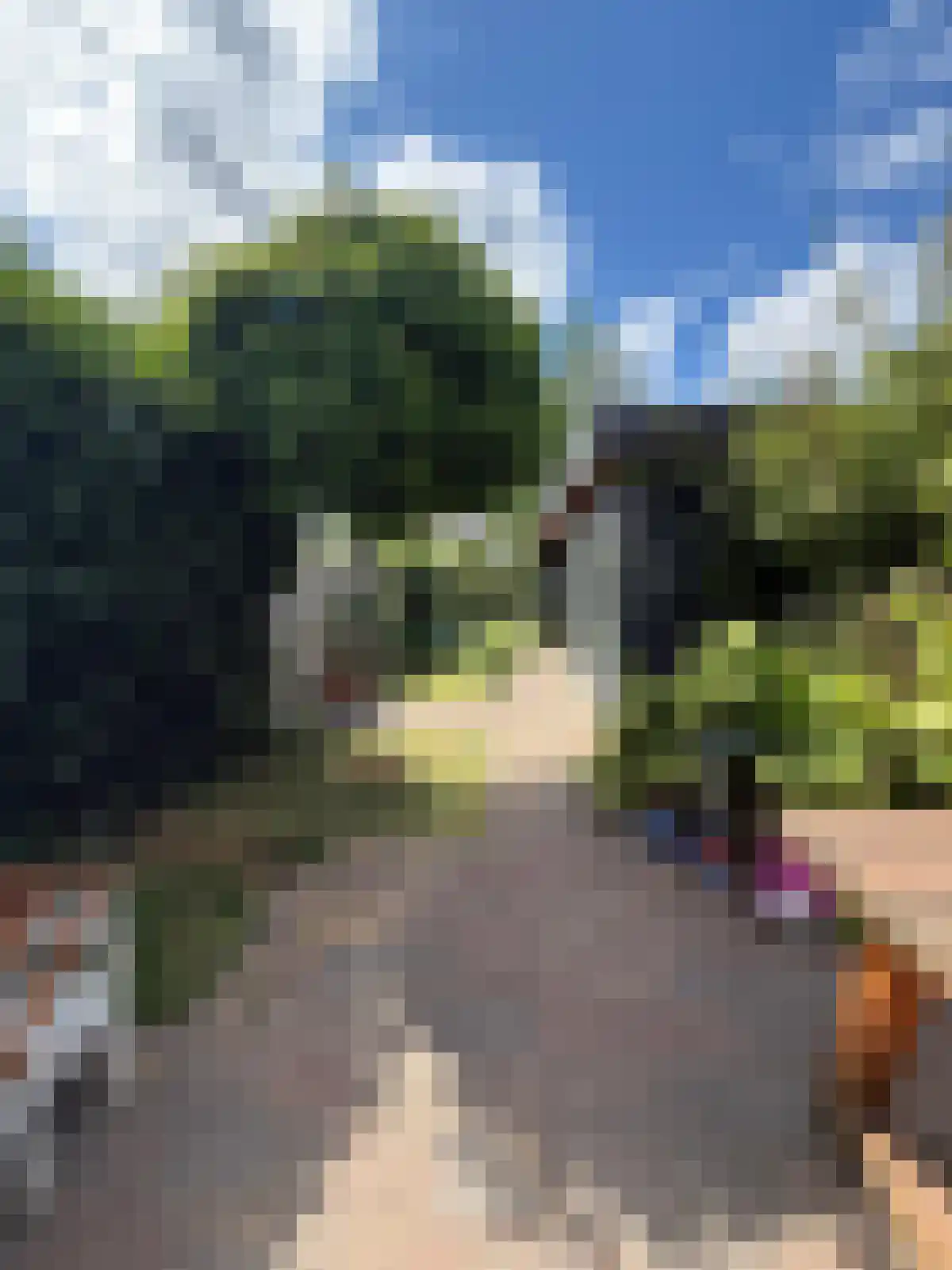 Paterspoel 88 Landsmeer thumbnail 5
