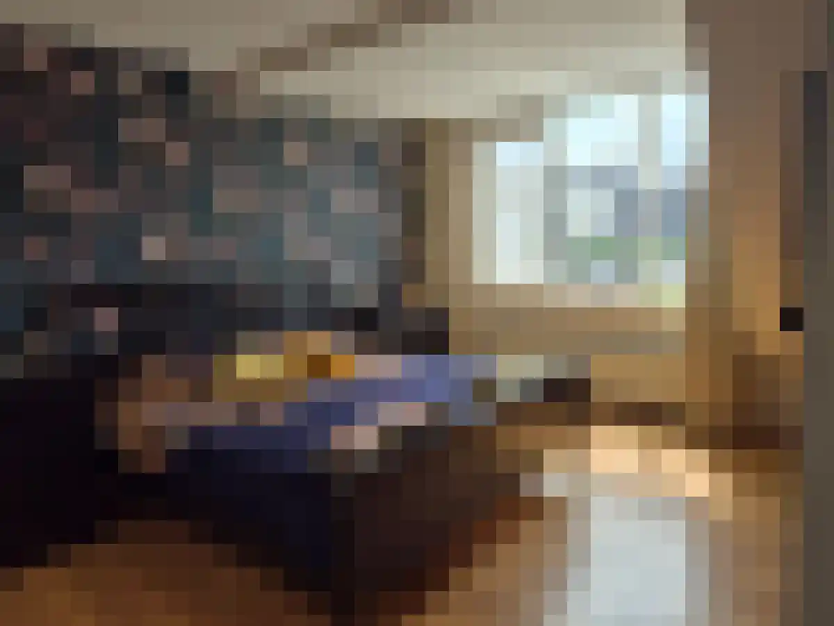Paterspoel 88 Landsmeer thumbnail 5