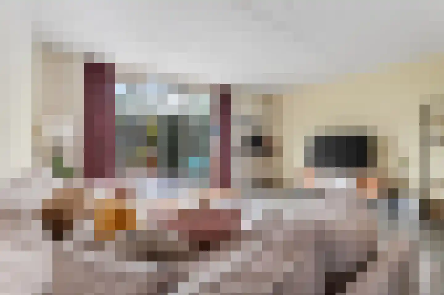 Paterspoel 88 Landsmeer thumbnail 6