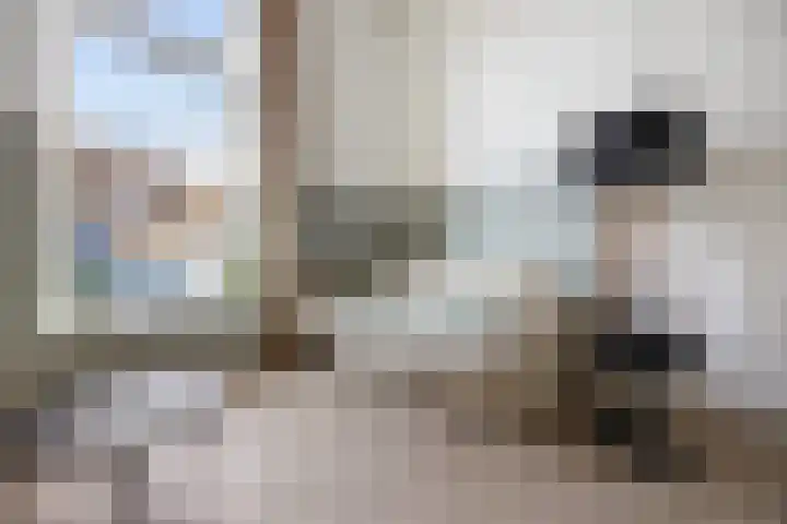 Patersstraat 1 1 Arnhem thumbnail 14