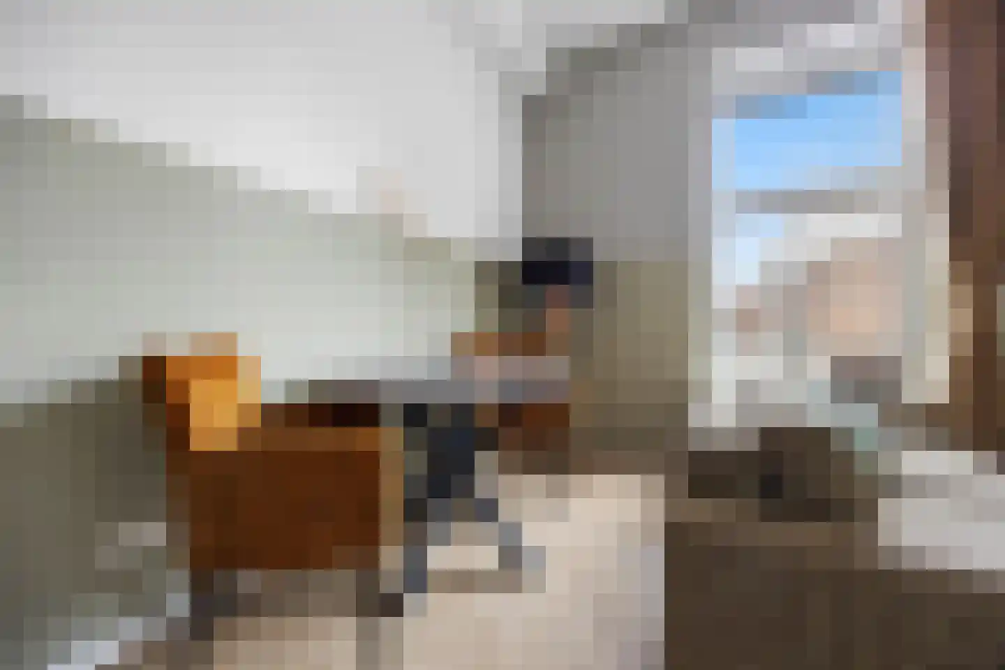 Patersstraat 1 12 Arnhem thumbnail 8