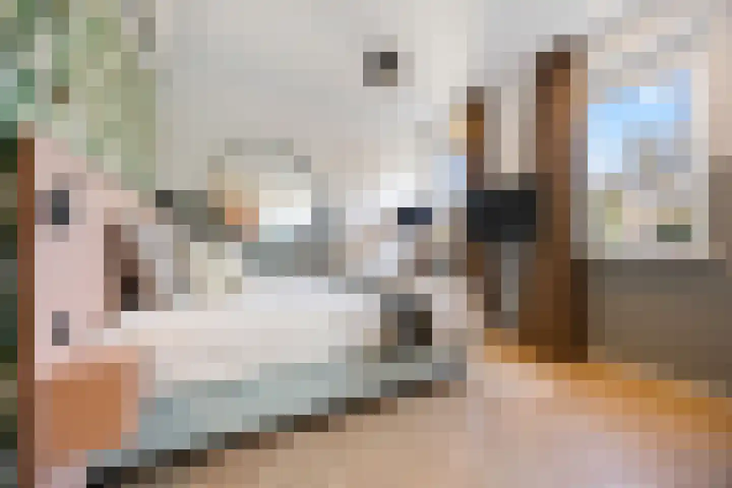 Patersstraat 1 4 Arnhem thumbnail 11