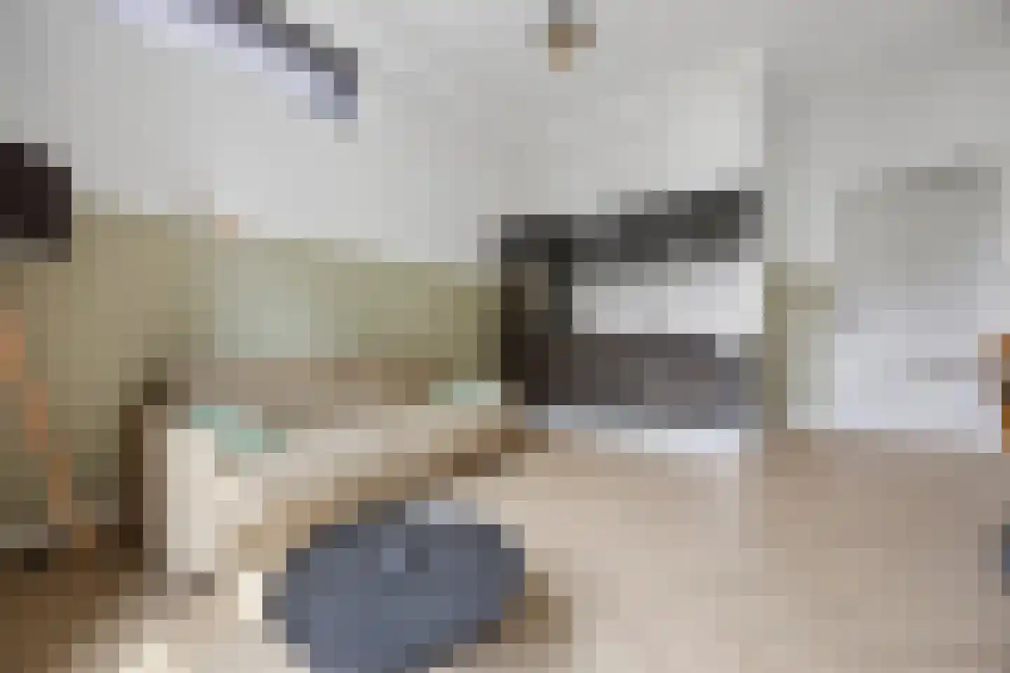 Patersstraat 1 7 Arnhem thumbnail 8