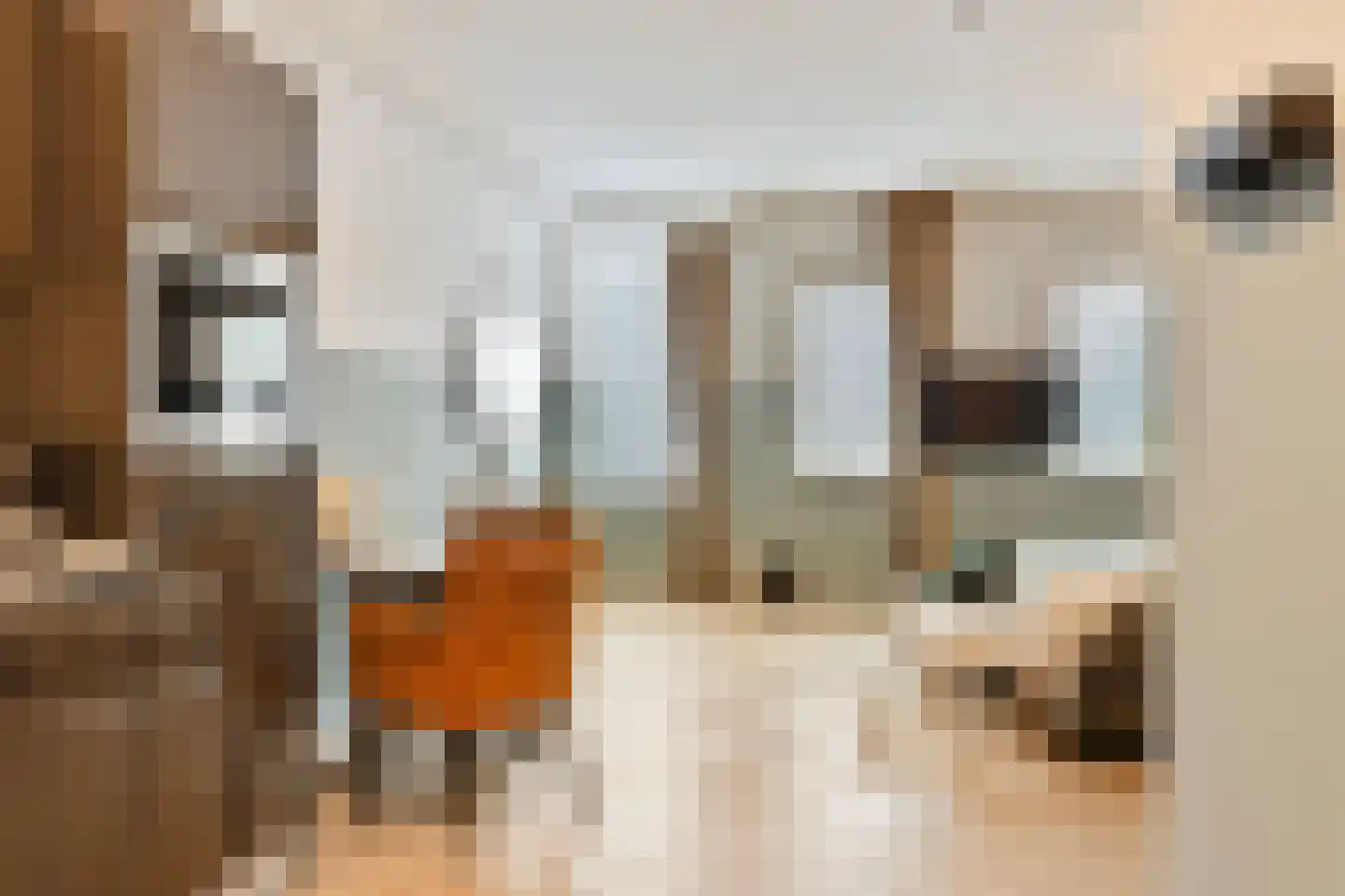 Patersstraat 1 8 Arnhem thumbnail 5