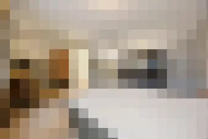 Patersstraat 1 9 Arnhem thumbnail 11
