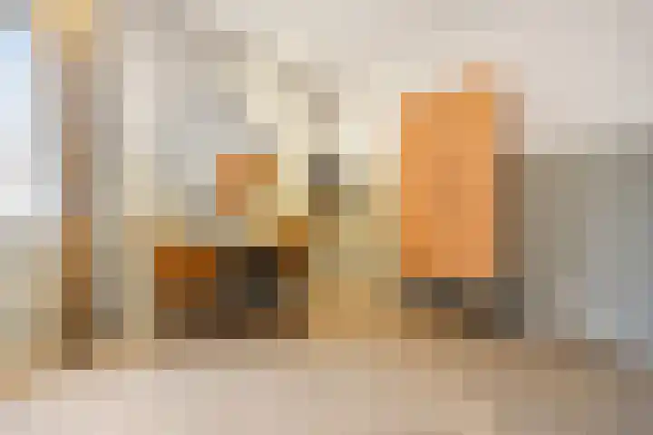 Patersstraat 1 9 Arnhem thumbnail 5