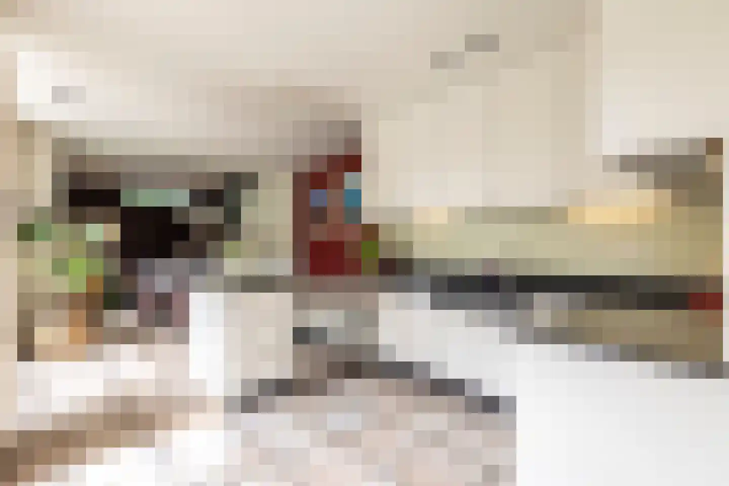 Patersstraat 15 Dalem thumbnail 13