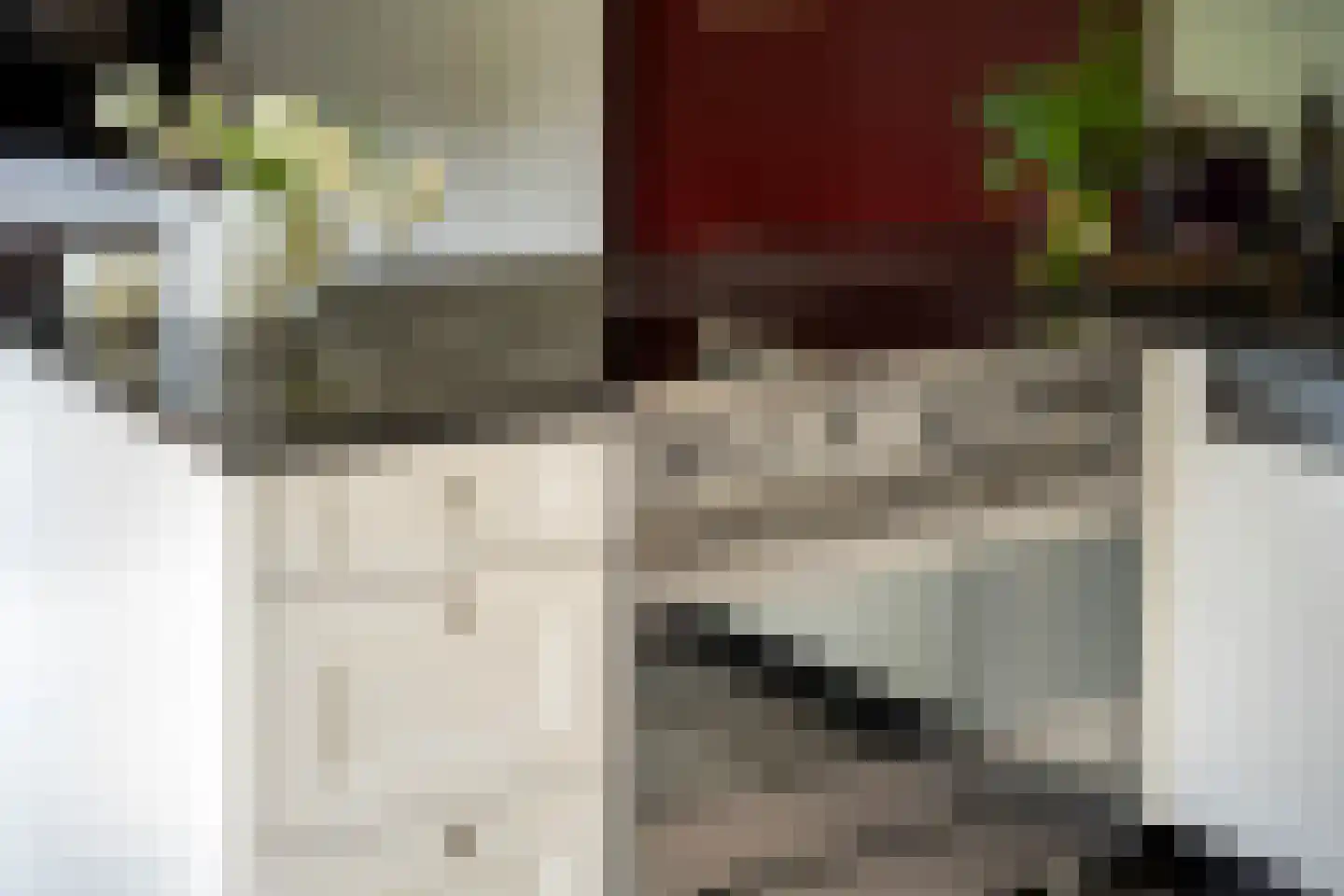 Patersstraat 15 Dalem thumbnail 14