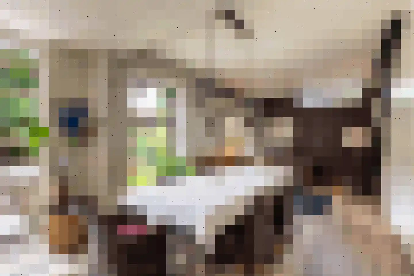 Patersstraat 15 Dalem thumbnail 17