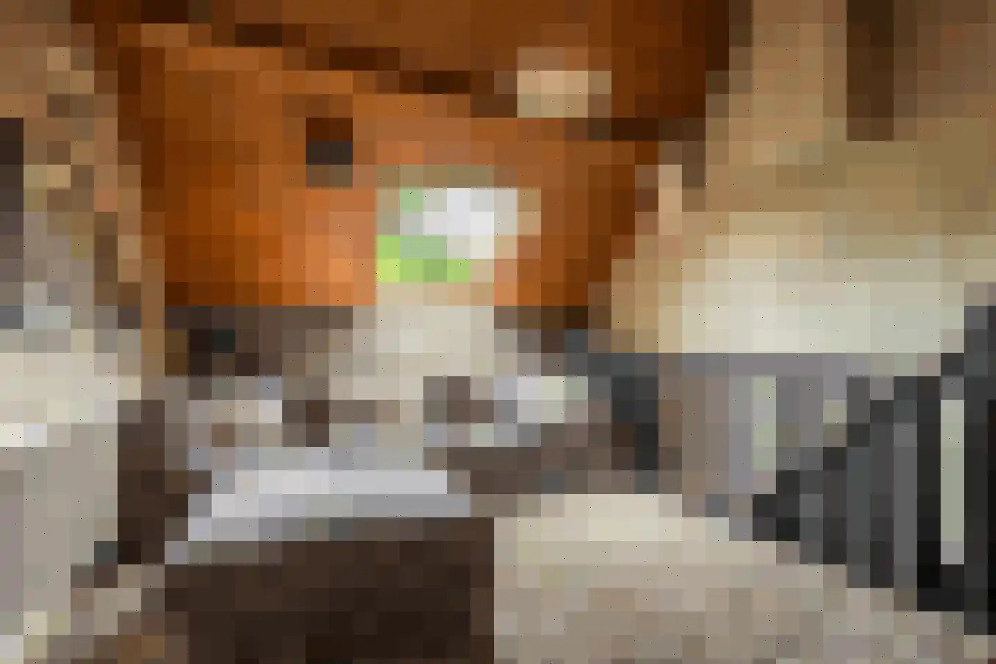 Patersstraat 15 Dalem thumbnail 19